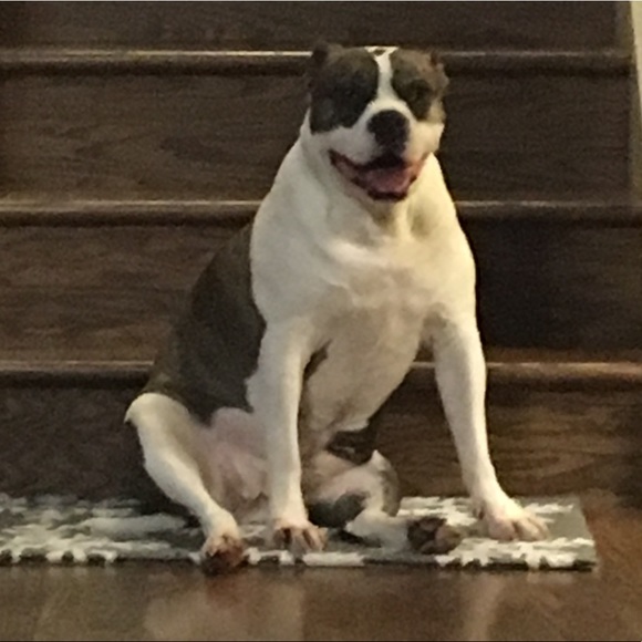 Meet your Posher, Sue - Picture 2 of 5